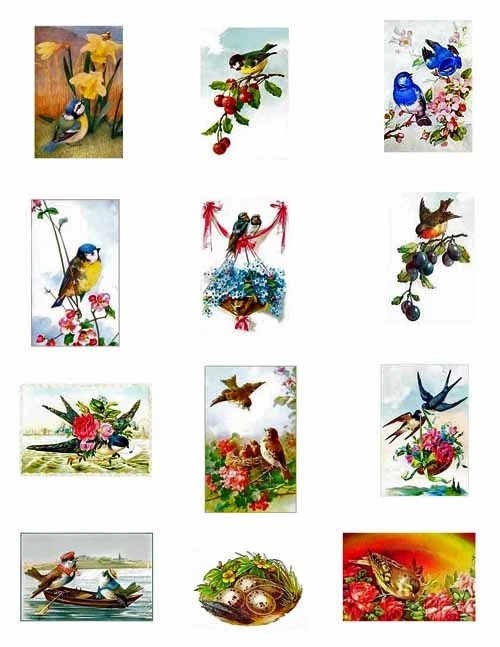 Sweet Birds мини хлопок ткани украшения (1A Бесплатная доставка - Изображение 1 из 1