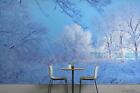 3D Winter Snow Rime Self-Adhesive Removeable Wallpaper Wall Mural 2611