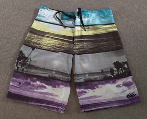 Nike 6.0 Board Shorts Youth Boys 16 Beach Scenery Ocean Graphic Color Block - Picture 1 of 20