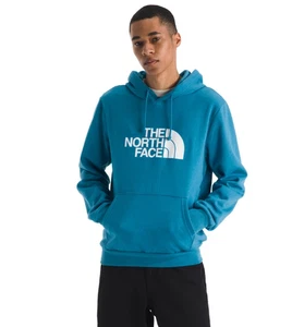 Herren Hoodies & Sweatshirts The North Face Evolution Half Dome Hoodie Gr. Large - Bild 1 von 3