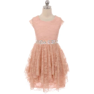 Vestido BLUSH Talla 4 Flor Niña Cumpleaños Recital Regreso a Casa Dama Formal - Imagen 1 de 3