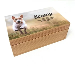 Ataúd caja de cremación con memoria urna con memoria urna foto pequeña personalizada roble mascota conmemorativa cenizas - Imagen 1 de 5