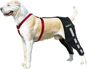 Rear Leg Braces Dogs Luxating Patella Joint Pain Knee Brace Both Legs Large - Picture 1 of 13