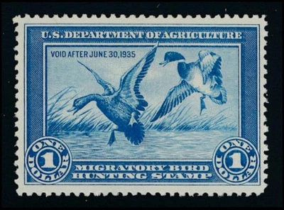 UNITED STATES (US) RW1 MINT F-VF LH $1 - Image 1 of 2