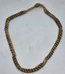 VINTAGE REAL SNAKE SPINE VERTERBAE BONE TRIBAL NECKLACE 30" - Picture 1 of 7