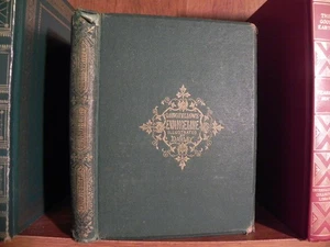 Longfellows Evangeline 1868 Illustrated By F. O. C. Darley - Henry W. Longfellow - Picture 1 of 17