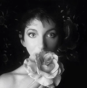 KATE BUSH Remastered in Vinyl II Box Set New & Sealed Very Rare - Picture 1 of 1