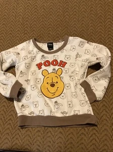 DISNEY 5T Winnie the Pooh Girls Pullover Sweatshirt W/Chenille Patch Characters - Picture 1 of 7