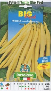 FAGIOLO NANO ROCQUENCOURT BIG PACK - SEMI ORTICOLI - - Imagen 1 de 1