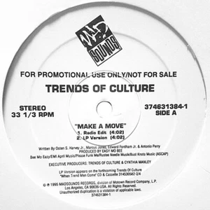 Trends of Culture "Make a Move" - 12" vinyl promo single - 1995 - Imagen 1 de 2