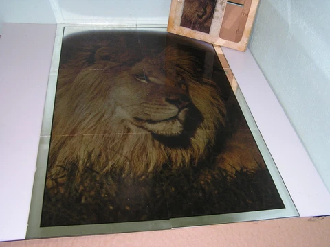 Vintage Hoyne MIRRO-SCENE (6) 12 x 12 Mirror Tiles lion scene Cover