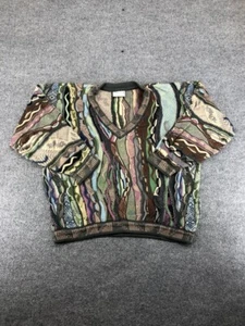 Vintage Coogi Knit Sweater V neck Man Size Large - Picture 1 of 9
