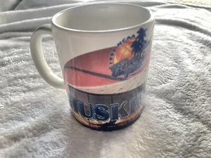 Vintage 1999 NCAA Tampa Bay Final Four Mug UConn Huskies - Picture 1 of 8