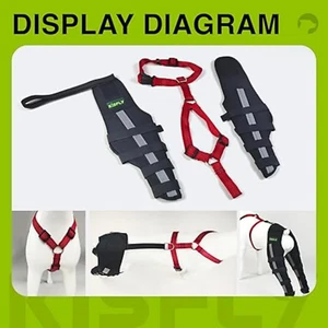 Dog ACL Brace for Joint Pain Luxating Patella Arthritis Dog Leg Braces for Back - Picture 1 of 6
