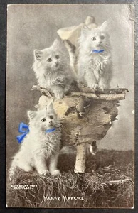 Merry Makers printed cprt 1903 CE Bullard 1906 Rochester NY Cat Postals - Picture 1 of 2