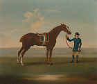 One of Four Portraits of Horses Chestnut Pferd Reiter Pfleger Tiere B A3 00007
