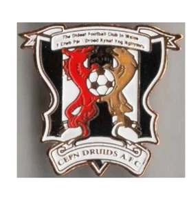 Pin (badge) Wales Cefn Druids - Picture 1 of 1