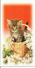 Katze Grukarte mit Umschlag Doppelkarte Katze "Katze im Korb 9,5x18cm Tierkart 