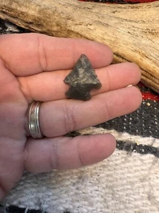 Colorful Bird Point Arrowhead From The Archaic Period - Kentucky. C37 - Picture 1 of 3