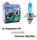 2X Ampoules H4 Extrem Weather Moto Guzzi California Stone