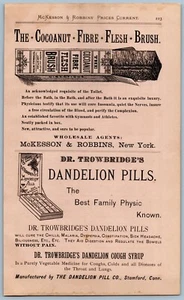 Cepillo de carne de fibra de coco 1889, pastillas de diente de león curandero medicina anuncio impreso - Imagen 1 de 3