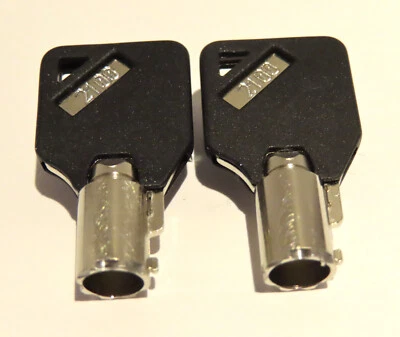 Sentry Safe Keys Tubular Replacement Keys Cut Key Code 2001 -2100 Engraved