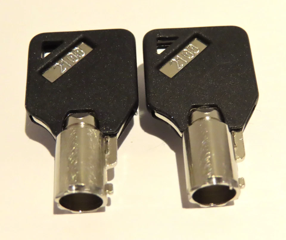 Sentry Safe Keys Tubular Replacement Keys Cut Key Code 2001 -2100 Engraved