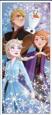 FROZEN 2 II Scene Setter BIRTHDAY party Disney wall or door poster backdrop Anna - Image 1 of 2