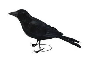 Black Raven Crow Halloween Decoration Prop Decor NEW - Picture 1 of 3