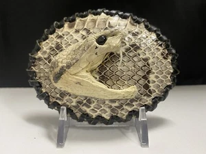 Rattle Snake Buckle Western Cowboy Style hebilla piton víbora Vaquero - Picture 1 of 4