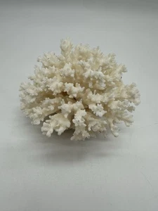 Natural White Sea Coral Aquarium Coastal Reef Beach Decor Vtg (free Shipping) - Picture 1 of 12