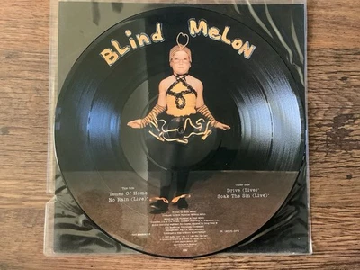 Blind Melon Tones Of Home 12” Picture Disc Vinyl - Image 1 of 3