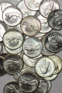 Canada 1967 25 Cents Lot of 39 pieces Bobcat animal BU 5.9oz fine silver.$9.75 - Picture 1 of 4