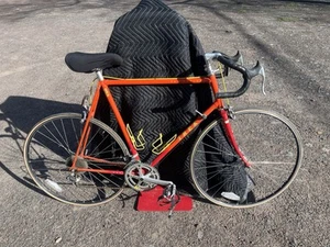 Vintage 560 Pro Series Trek Reynolds 531 24” Inch Road Bike - Picture 1 of 20