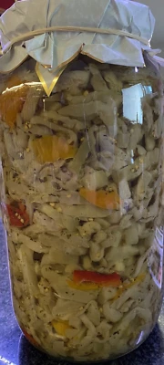 MELANZANE A FILETTO OLIO SEMI PEPERONI AGLIO ORIGANO MENTA ANTIPASTO CONTORNO - Immagine 1 di 4