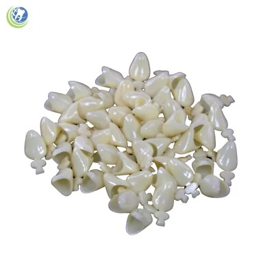 BOLSAS A GRANEL CORONAS TEMPORALES POLICARBONATO DENTAL DE 50 UNIDADES A2 - ELIGE EL NÚMERO Foto 1 de 4