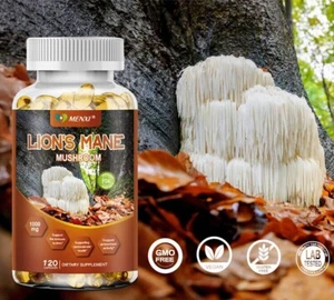 Fungo Criniera di Leone Bio Nootropico Cervello Memoria Focus Supporto Immunitario 1000Mg - Foto 1 di 11