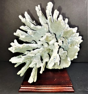 Genuine Dry Gray Coral for Aquarium or Collection 7.75" x 8" x 7" -  4 lbs 7 oz. - Picture 1 of 17