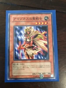 Yugioh: Amazoness Paladin - 303-005 - Champion of Black Magic - Lightly Played - - Bild 1 von 2
