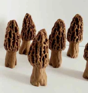 Morel Mushroom Statue/Figurine/Carving - Picture 1 of 10