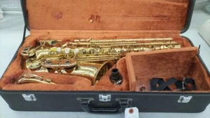 YANAGISAWA A-500 Alto Sax Saxophone - Picture 1 of 18