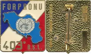 403° Bataillon de Soutien Logistique, FORPRONU, Delsart 3949 (0044) - Imagen 1 de 1