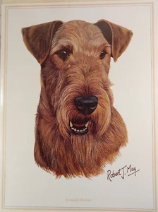 Airedale Terrier Dog Robert May Fine Art Greeting Card Blank 6x8 Quay Dorset UK - Picture 1 of 7