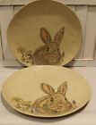 Set Of 2 New InHomeStylez Embossed Evergreen Bunny Easter Spring Dinner Plates
