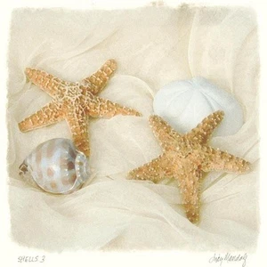 JUDY MANDOLF, Sea Shells, "Shells III", edición digital abierta, imagen 18x18 - Imagen 1 de 1