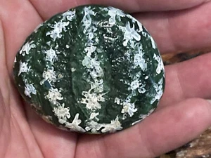 Hand Painted Rock Stone Miniature Artwork Cactus Cacti Art Rocks - Picture 1 of 8
