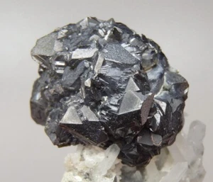 SPHALERITE & QUARTZ - Bulgaria - MADAN 9th September Mine /pi426 - Picture 1 of 12