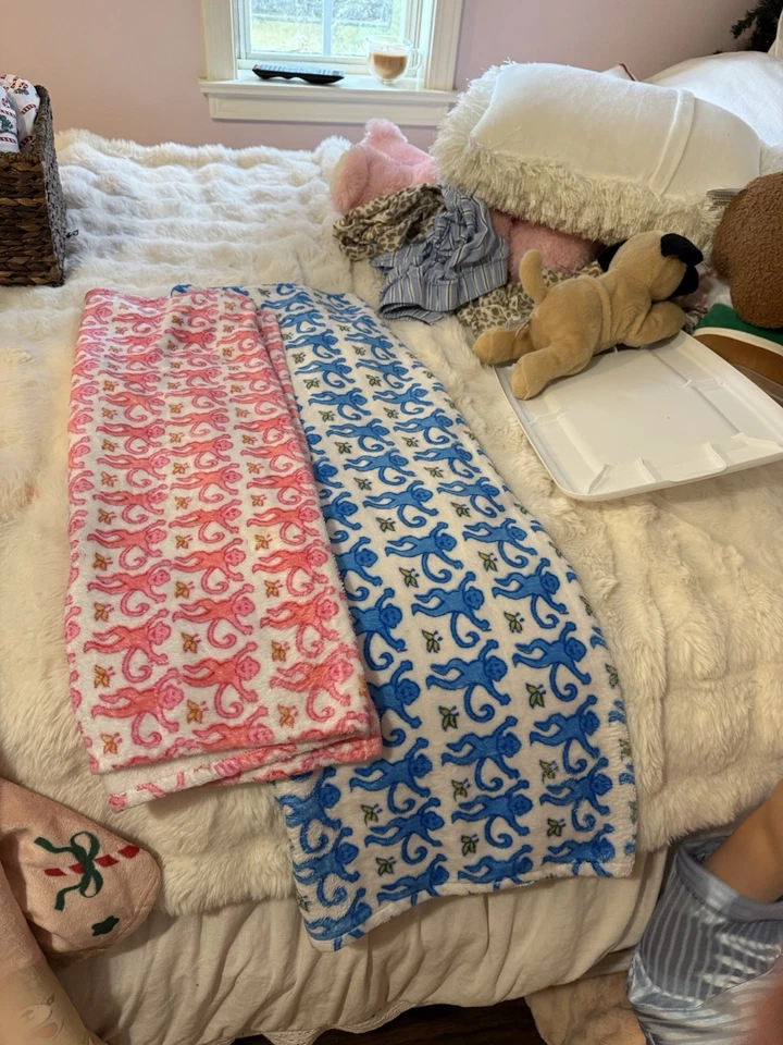 Manta polar azul Pottery Barn Roller Rabbit Foto 1 de 1