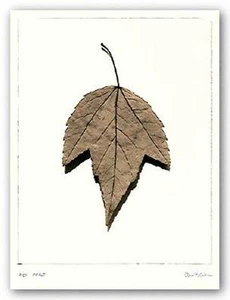 IMPRESIÓN FOTOGRÁFICA ARTÍSTICA Arce Rojo Alan Blaustein - Imagen 1 de 1