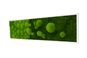 Wandbilder River Design Moosbild Wandbild kaufen Wand Moos Oster Dekoration - Bild 1 von 22